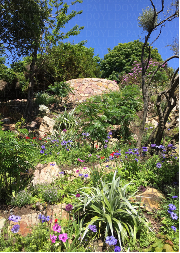 Horizon Garden